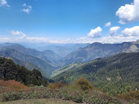 FRESHWATER RETREAT (Jibhi) - B&B Reviews & Photos - Tripadvisor