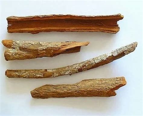 Natural Bark Extract - Magnolia Bark Extract Manufacturer from Indore