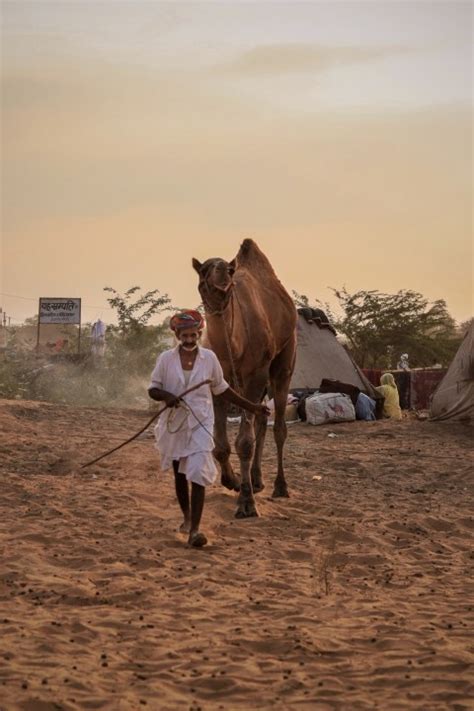 Pushkar - Photo #3122 - RKG PhotoPedia | Thousands of Free Stock Images ...