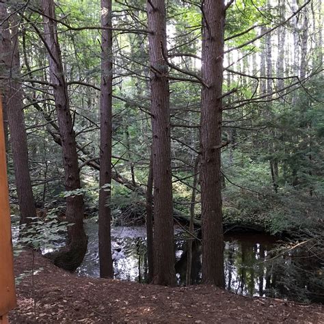 OLD STAGE CAMPGROUND (Madbury) - Campground Reviews & Photos - Tripadvisor