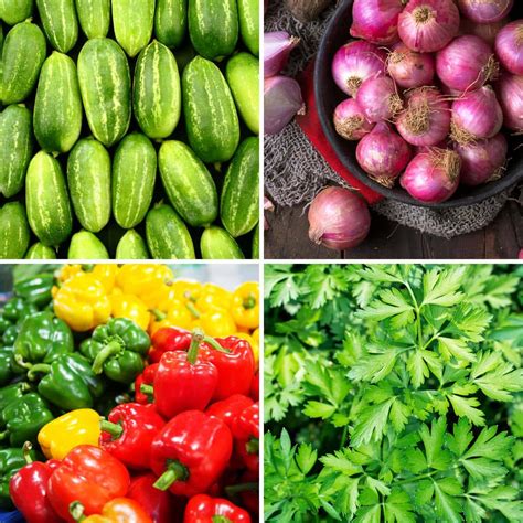 All 10 Vegetables That Start With I: 2025 Edition!