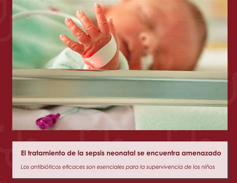 El tratamiento de la sepsis neonatal se encuentra amenazado | Por un ...