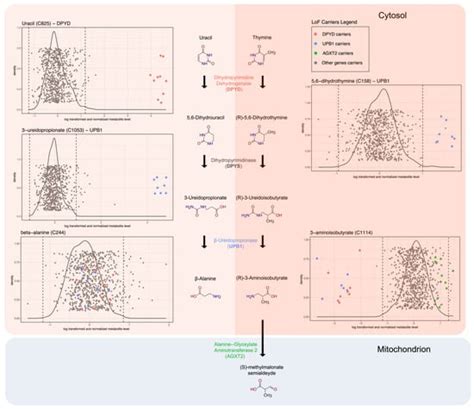 Metabolites | An Open Access Journal from MDPI