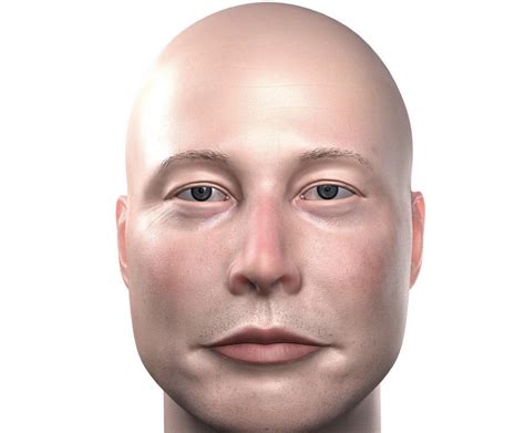 How Elon Musk would look bald : r/pics