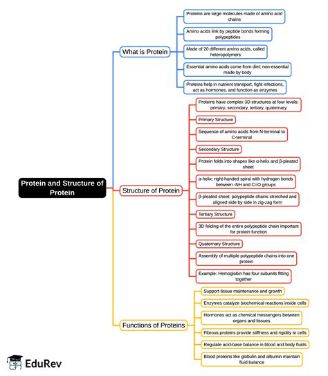 Mind Map: Protein and Structure of Protein - MCAT PDF Download