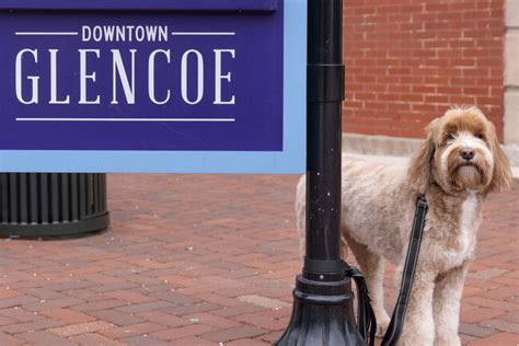 Glencoe IL Real Estate & Homes for Sale - Homes.com