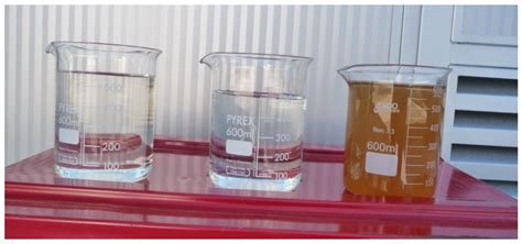 Advances in Drinking Water Treatment through Piloting with UF Membranes