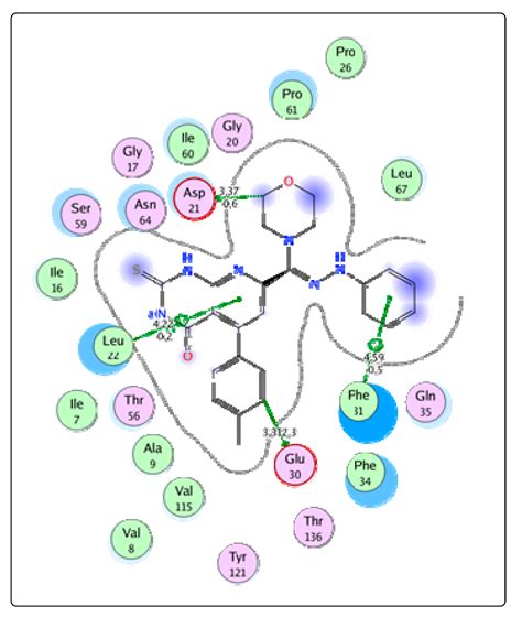 Synthesis, Antitumor Evaluation and Molecular Docking of New Morpholine ...