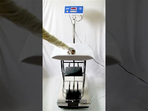 Weight Scale - 3 In 1 Weighing Scale Manufacturer from New Delhi