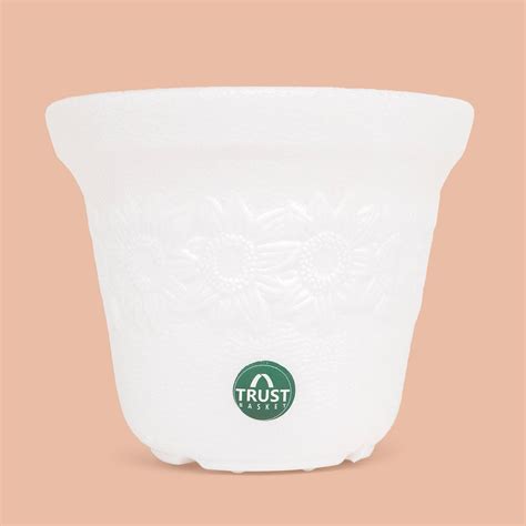 TrustBasket Sunny Pot | 6 inch Table Top Planter Pot (Pack of 4)