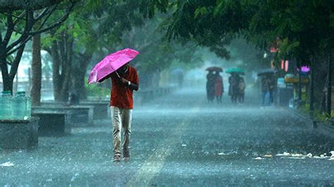 IMD predicts 96% rainfall this year, El Nino can impact second half of ...