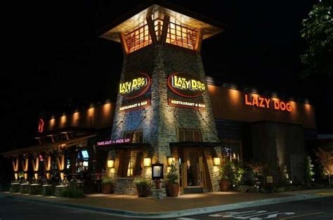 15 Best Cafes In Manali That You Must Visit On Your Next Trip In 2025!