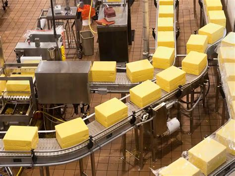Image result for Cheese Manufacturing Process