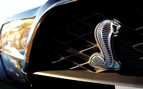 Ford Mustang Shelby GT500 HD Wallpaper: Power and Performance Unleashed