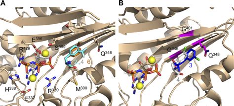 Image result for DFA Injective