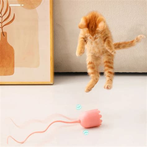 Automatic Mouse Tail Cat Teaser Toy | Claws n paws