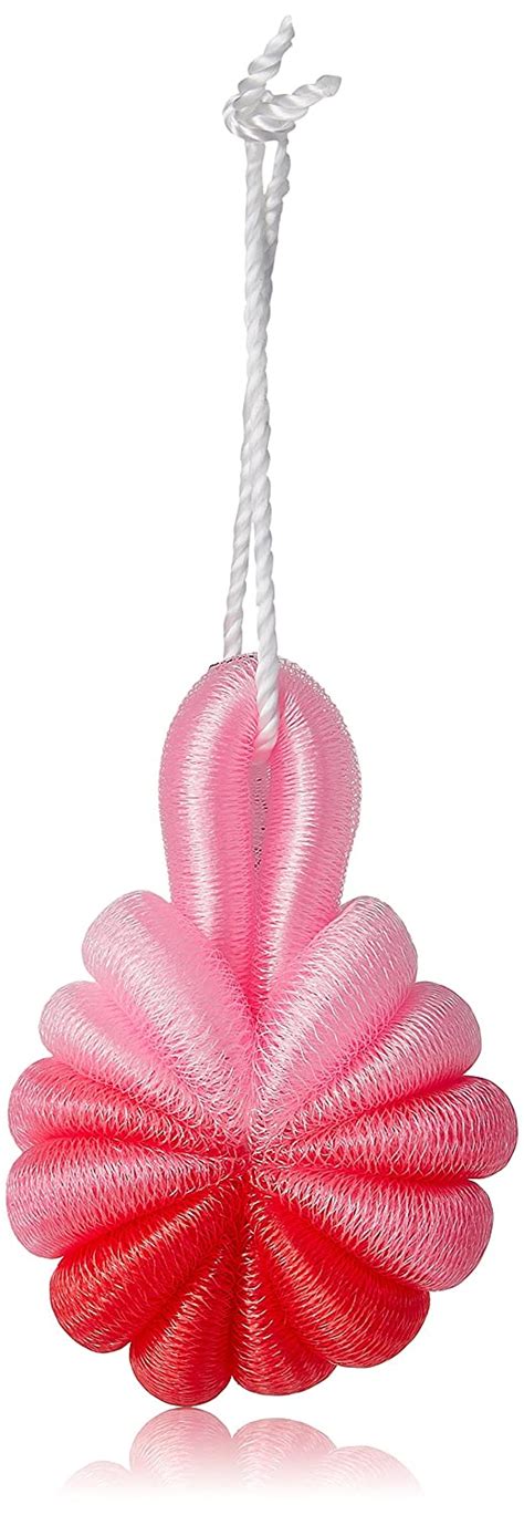 Buy VEGA Flower Sponge, Pink and Red Online at Low Prices in India ...