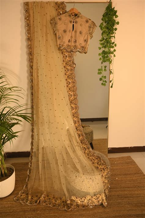 Net Sequined Saree in Beige – Stage3