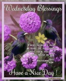 Wednesday Blessings GIF - Wednesday blessings - Discover & Share GIFs