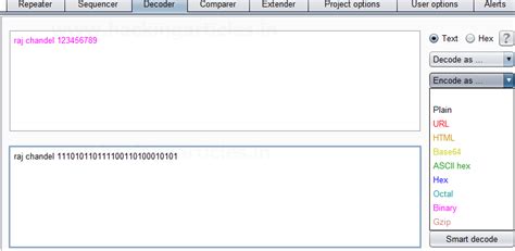 Burp Suite Encoder & Decoder Tutorial