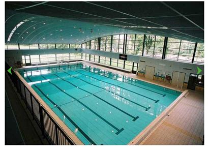 Level9 Biz Pvt. Ltd.