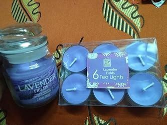 Hosley® Combo of Lavender Fields Fragrance Jar Candle with Scented ...