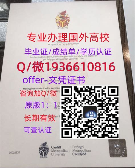 证件样本-上海泰尔弗国际商学院(上海应用技术大学中外合作3+1国际本科,2+2留学项目,4+0+1国际硕士)