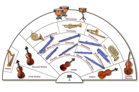 Image result for Orchestra Sections