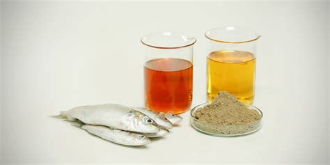 Fish Meal & Oil | MSP Products