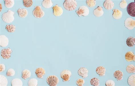 Wallpaper summer, background, shell, summer, beach, marine, frame ...