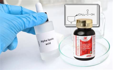 Which is the best R Alfa Lipoic Acid Supplement? – Nutrozana