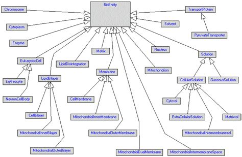 Image result for Inheritance Flowchart