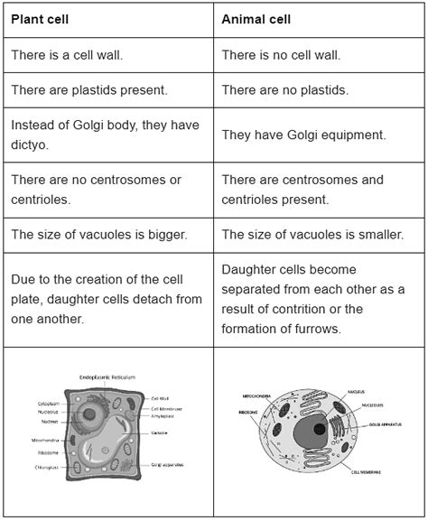 Class 9 Science Chapter 5 Question Answers - The Fundamental Unit of Life
