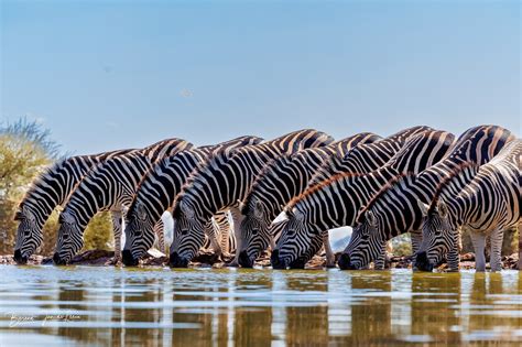 Hidden gem...... - Review of Last Word Madikwe, Madikwe Game Reserve ...