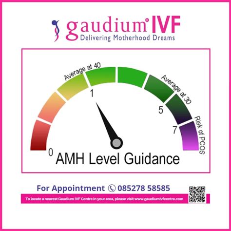 Fertility Amh Levels By Age Chart at Madeline Hardwicke blog