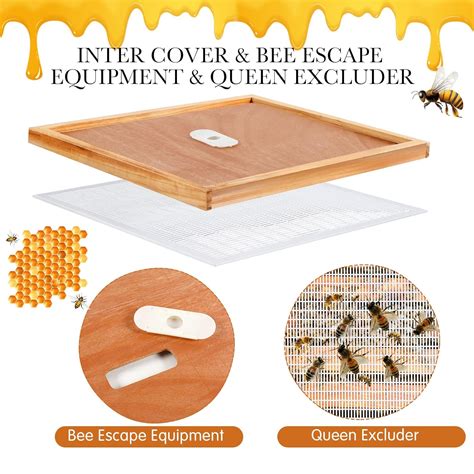 Colingmill 6 Pcs Beehive Parts Kit for 10 Frame Bee Hive India | Ubuy