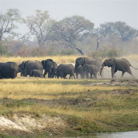 KWANDO CORE AREA Guide (2026) All You Need to Know BEFORE You Go (with ...