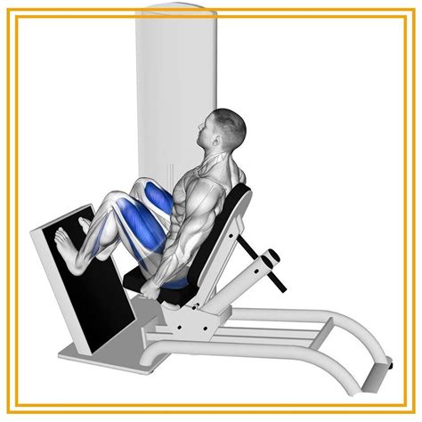 Leg Press Machine Exercise 的图像结果