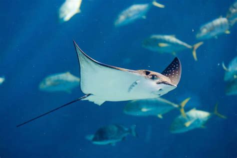 Go on a date with nature at these 10 Seychelles national parks