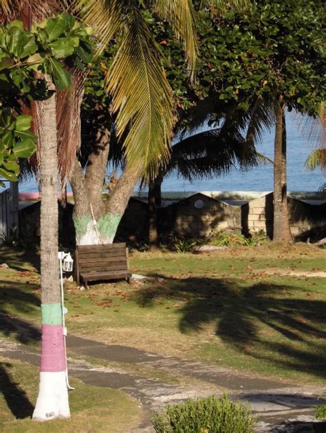 POSADA TURISTICA TRINSAN CAMPESTRE (San Andres) - Guesthouse Reviews ...