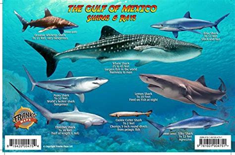 Gulf of Mexico Sharks & Rays Guide Franko Maps Laminated Fish Card ...