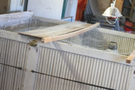 Brooding Pen 的图像结果