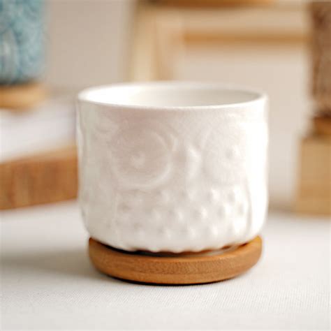 Owl Plant Pot Online - Premium Planter | Nestasia