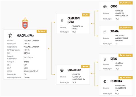 Glacial - Yeguada La Perla
