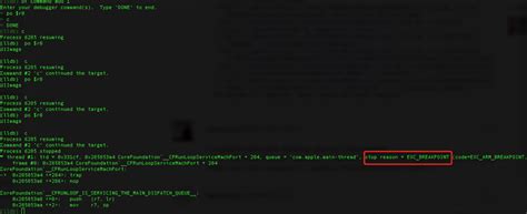 Lldb Debugger 的图像结果