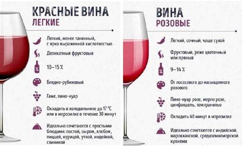 Какое вино полезнее: красное или белое, а может шампанское?