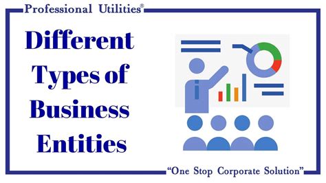 Image result for Business Entity Example