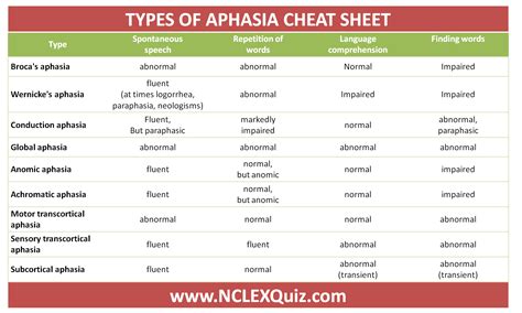 Image result for Types of Aphasia Examples
