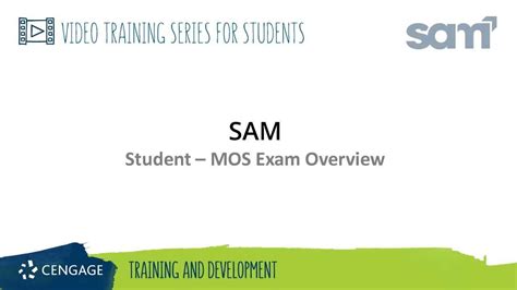 Image result for Module 11 Access Sam Exam