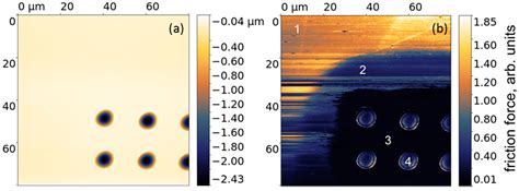 Tribological Performance of Diamond-like Nanocomposite Coatings ...